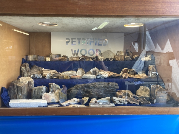 image of Nick's petrified wood display case