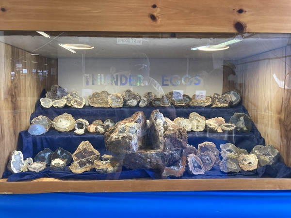 image of Nick's thunderegg display case