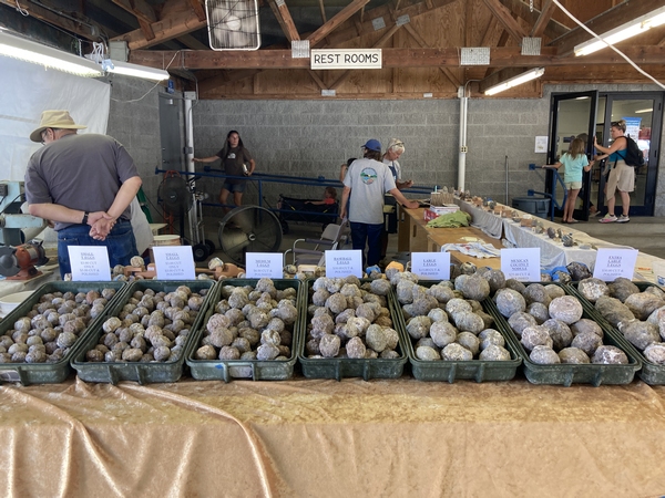 image of the thunderegg cutting and polishing station
